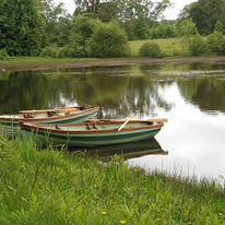 Ballyfin Demesne