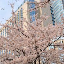 Grand Hyatt Tokyo